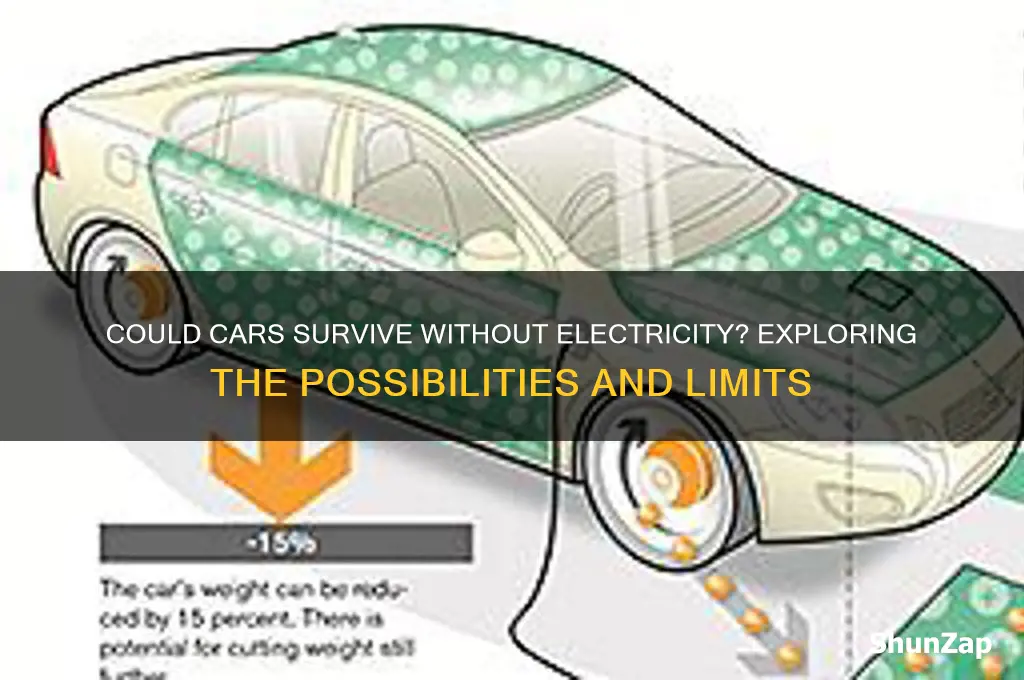 could cars exist without electricity