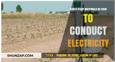 Harnessing Nature's Power: Can Plant Materials Conduct Electricity?