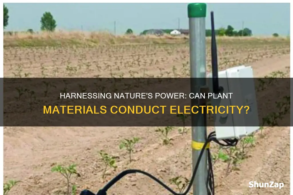 could plant materials be used to conduct electricity
