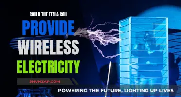 The Tesla Coil: Wireless Electricity's Future?
