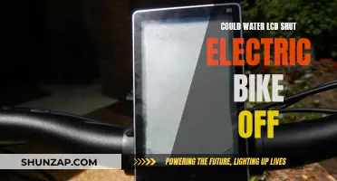 Water LCD: Electric Bike's Unseen Shutdown Culprit?