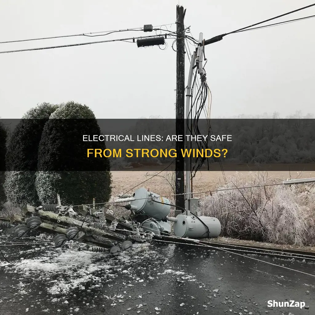 could winds really knock electrical lines down