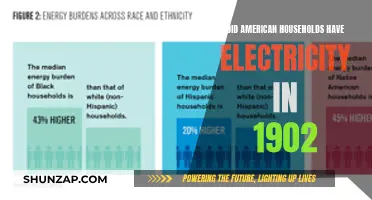 Electricity in American Homes: 1902's Reality Check