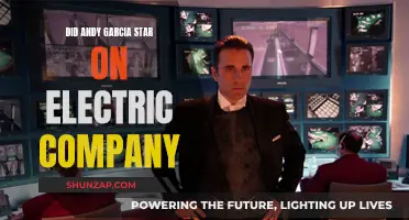 Andy Garcia's Electric Company Star Turn: Did You Know?
