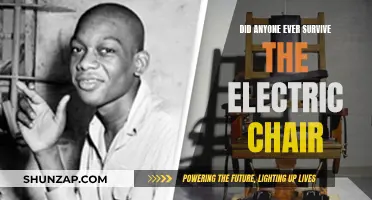 The Electric Chair: Did Anyone Escape Death?