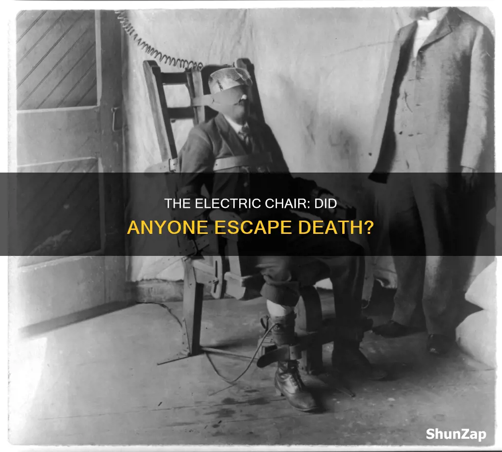 did anyone ever survive the electric chair