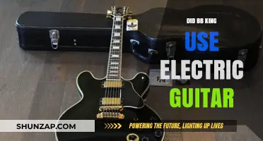 Did B.B. King Revolutionize Blues with Electric Guitar?