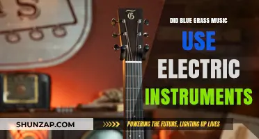 Bluegrass Tradition: Electric Instruments or Acoustic Roots?