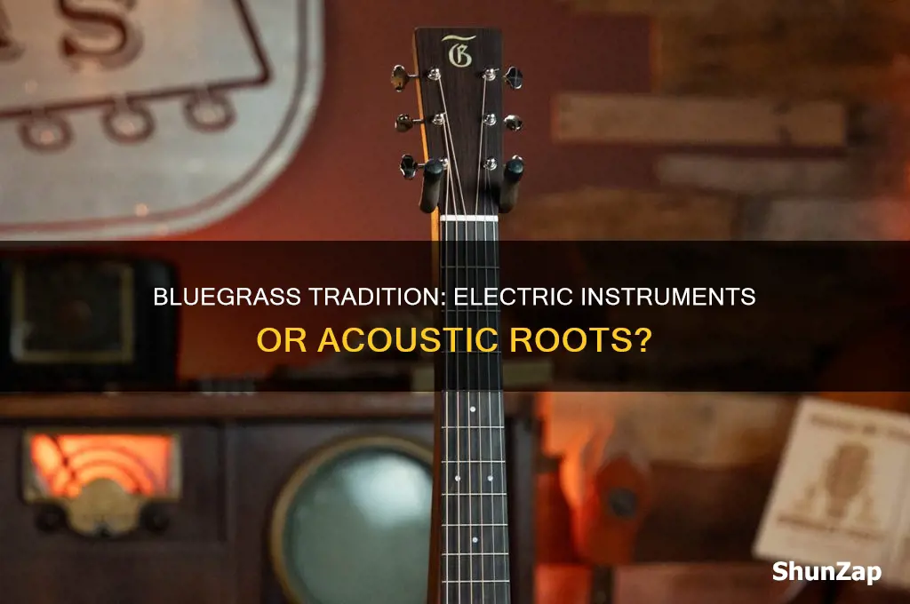 did blue grass music use electric instruments