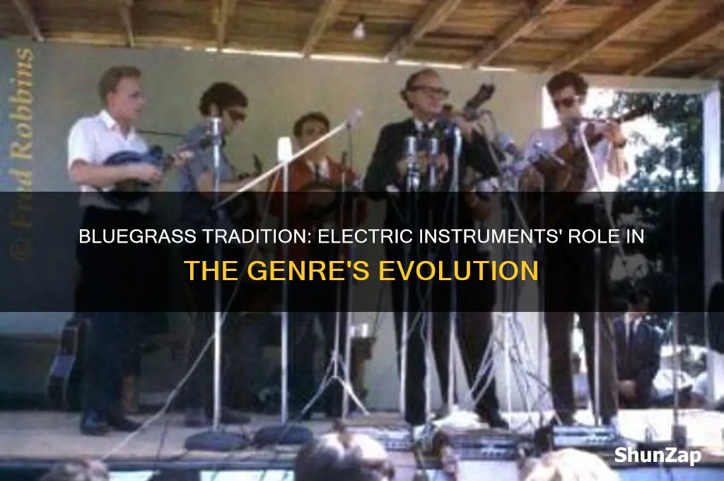 did bluegrass music use electric instruments
