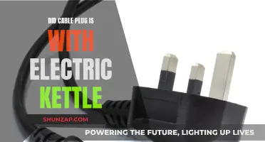 Electric Kettle and Cable Plug: A Safe Combination?