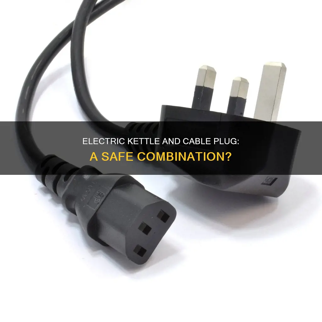 did cable plug is with electric kettle