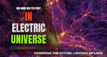 The Electric Universe and Dark Matter's Existence