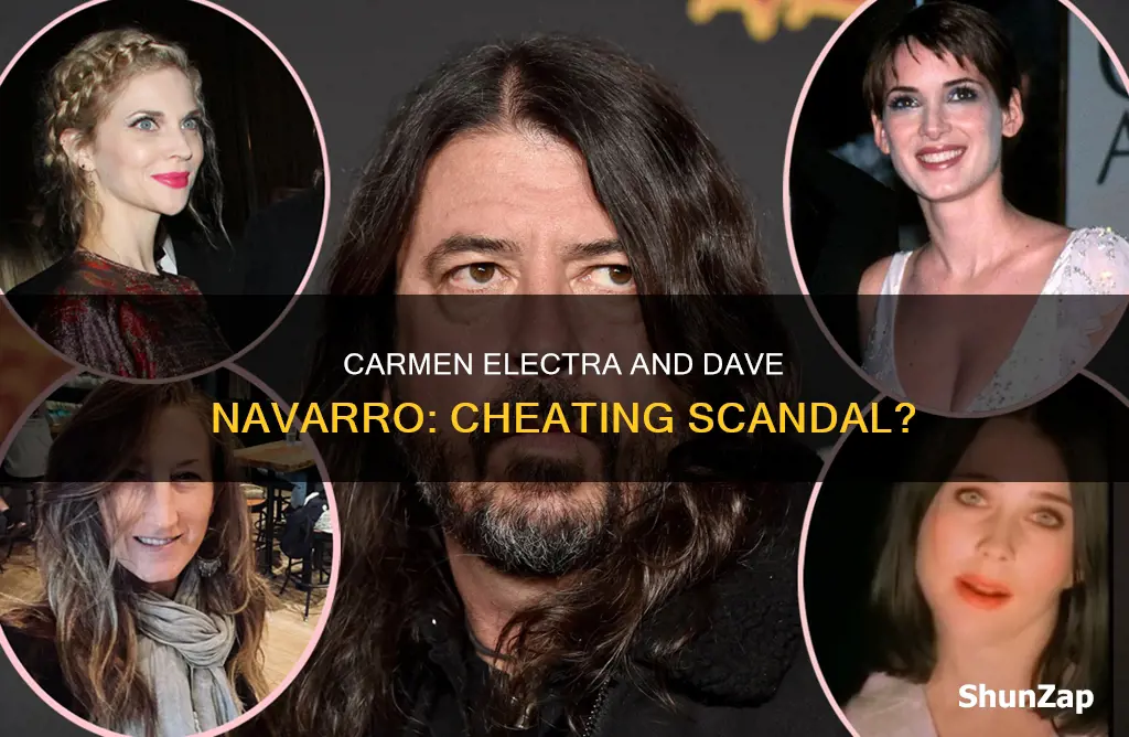 did dave navarro cheat on carmen electra