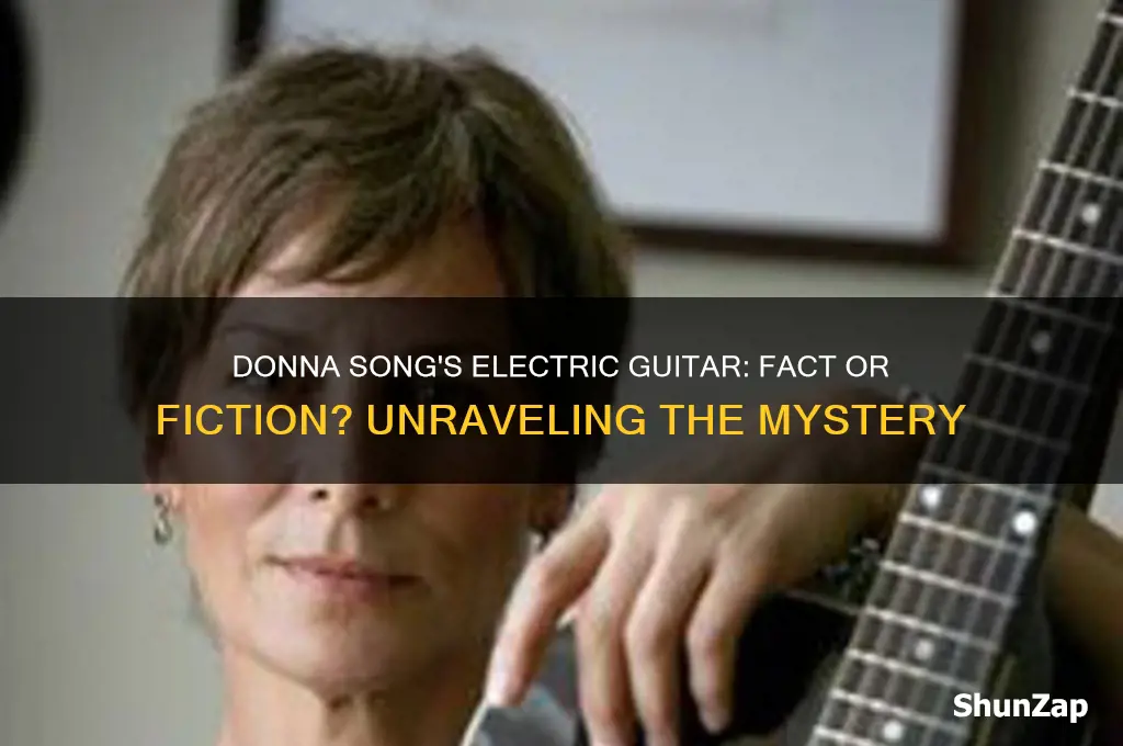 did donna song use electric guitar