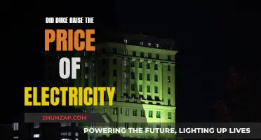 Duke's Electricity Price Hike: Did It Raise Costs?
