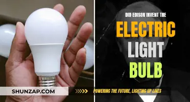 Edison's Electric Light Bulb: Fact or Fiction?