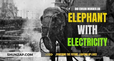 Edison's Dark Secret: Electric Shock Murder of an Elephant