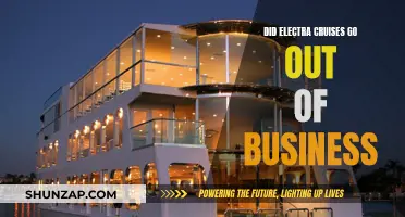 Electra Cruises: Business Failure or Strategic Retreat?