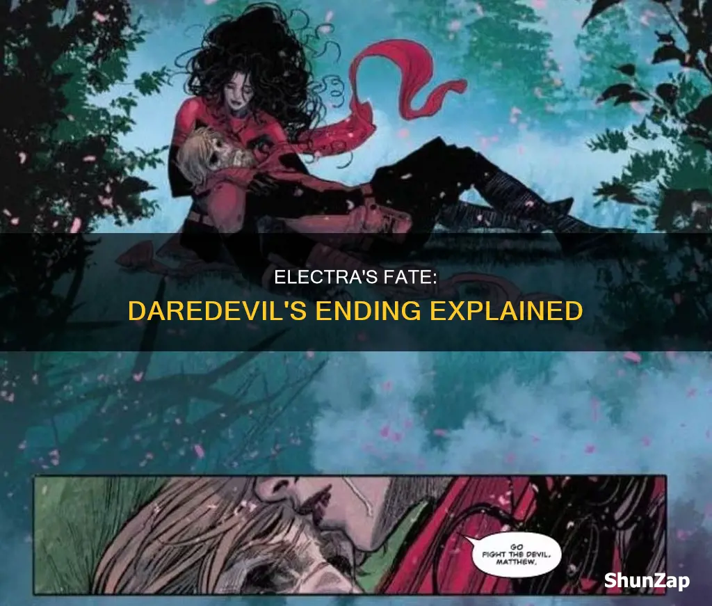 did electra die at end of daredevil