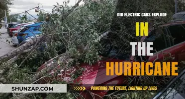 Electric Cars in Hurricanes: Debunking Explosion Myths and Safety Concerns