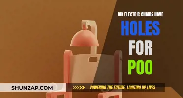 The Electric Chair's Uncomfortable Truth: Poo Holes and All