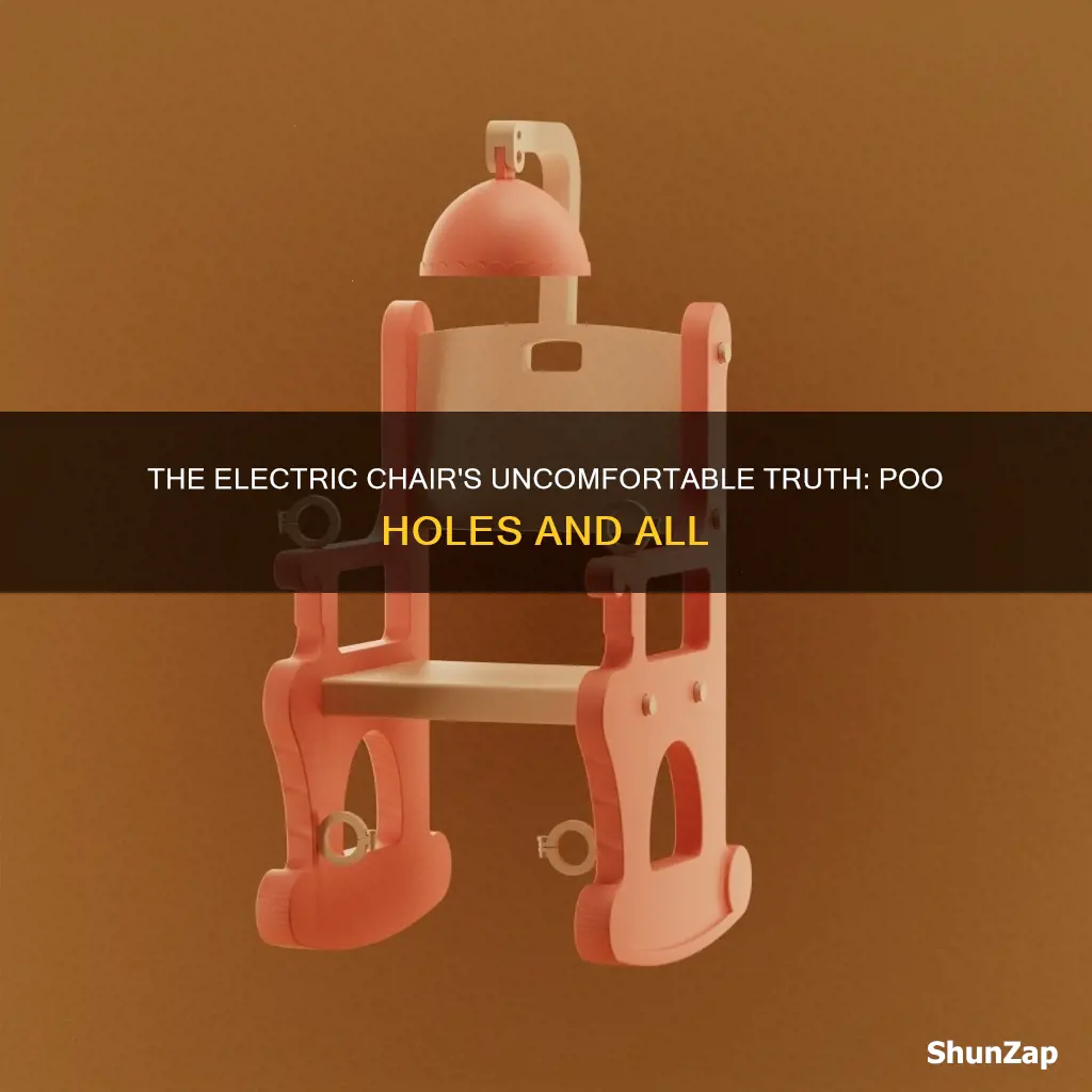 did electric chairs have holes for poo