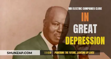 Electric Companies: Surviving the Great Depression