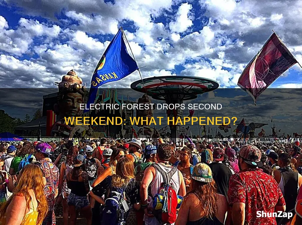 did electric forest drop the second wekene
