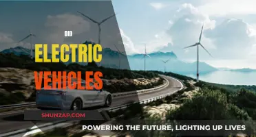 The Rise of Electric Vehicles: A Green Revolution