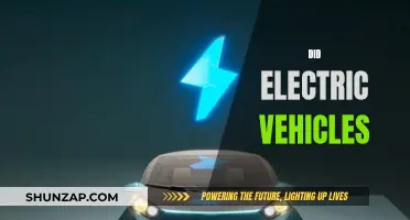 Electric Vehicles: The Future of Sustainable Transportation