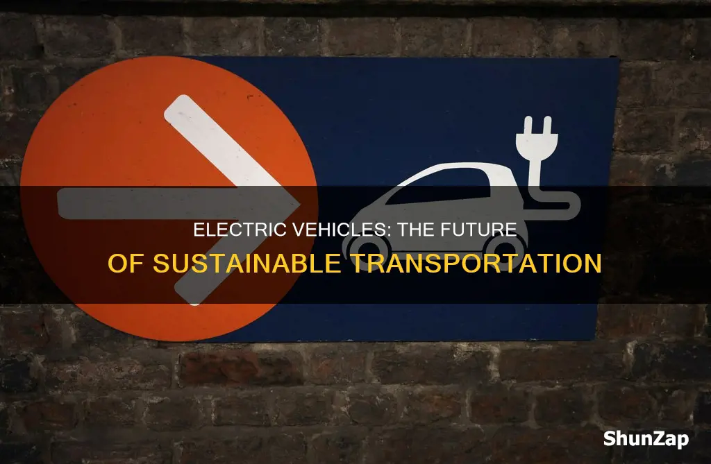 did electric vehicles