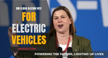 Elissa Slotkin's Electric Vote: A Green Revolution?