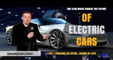 Elon Musk's Impact: Revolutionizing the Future of Electric Cars?