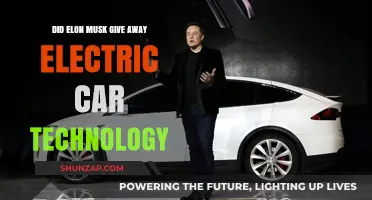 Elon Musk's Electric Car Tech: Shared Innovation or Trade Secret?