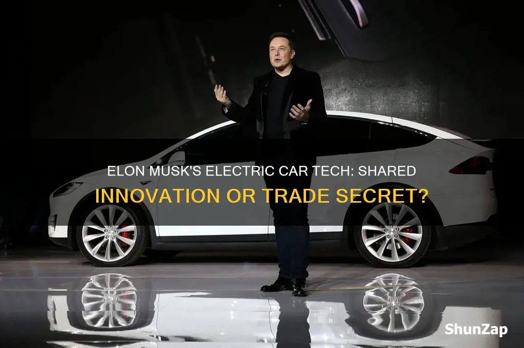 did elon musk give away electric car technology