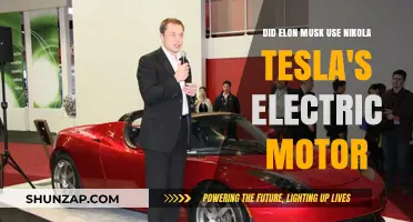 Did Elon Musk Use Nikola Tesla's Electric Motor Technology?