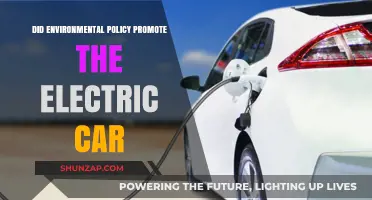 Environmental Policies: Catalysts for the Rise of Electric Vehicles?