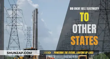 Did ERCOT Profit by Selling to Other States?