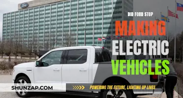 Ford's Electric Future: Did They Drop the EV Race?