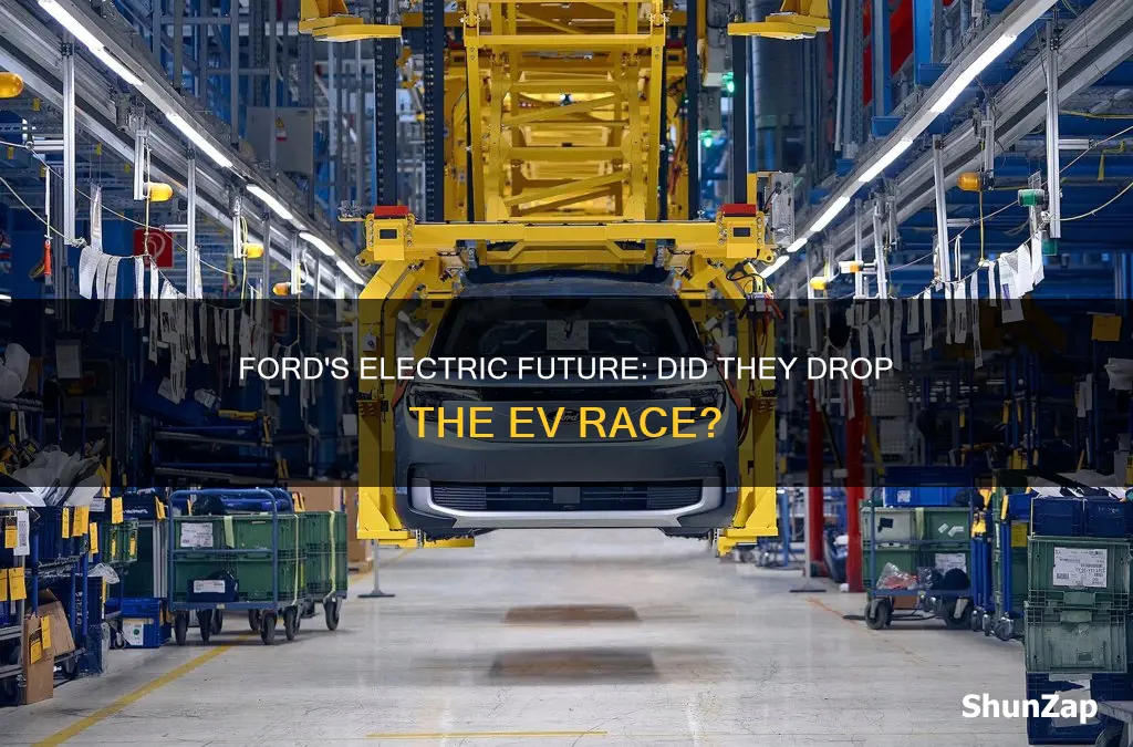 did ford stop making electric vehicles