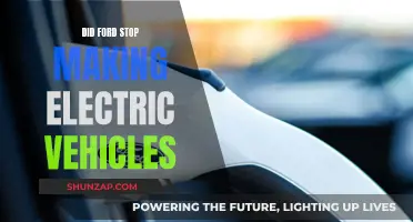 Ford's Electric Vehicle Plans: A Halt or a Pause?