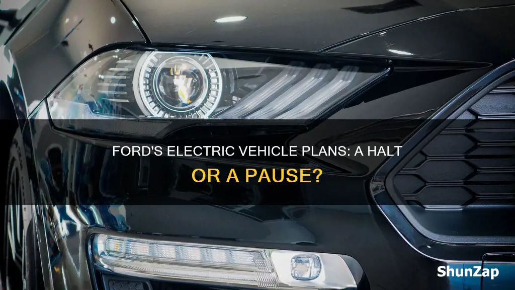 did ford stop making electric vehicles