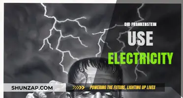 Frankenstein's Monster: Electricity's Role in Shelley's Iconic Creation