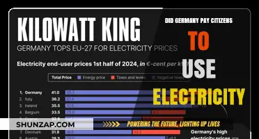 Germany's Innovative Incentive: Paying Citizens to Use Electricity?
