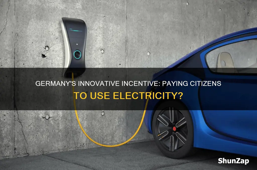 did germany pay citizens to use electricity