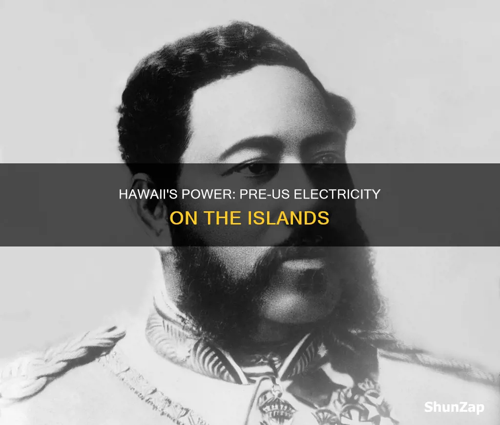 did hawaii have electricity before the us