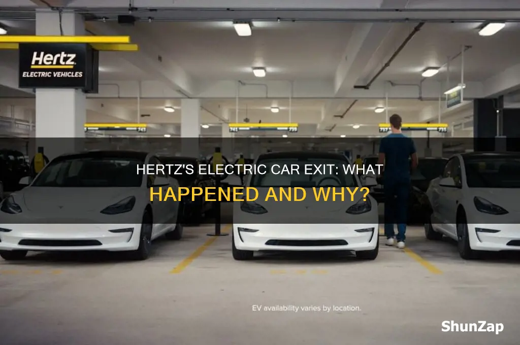 did hertz get rid of electric cars
