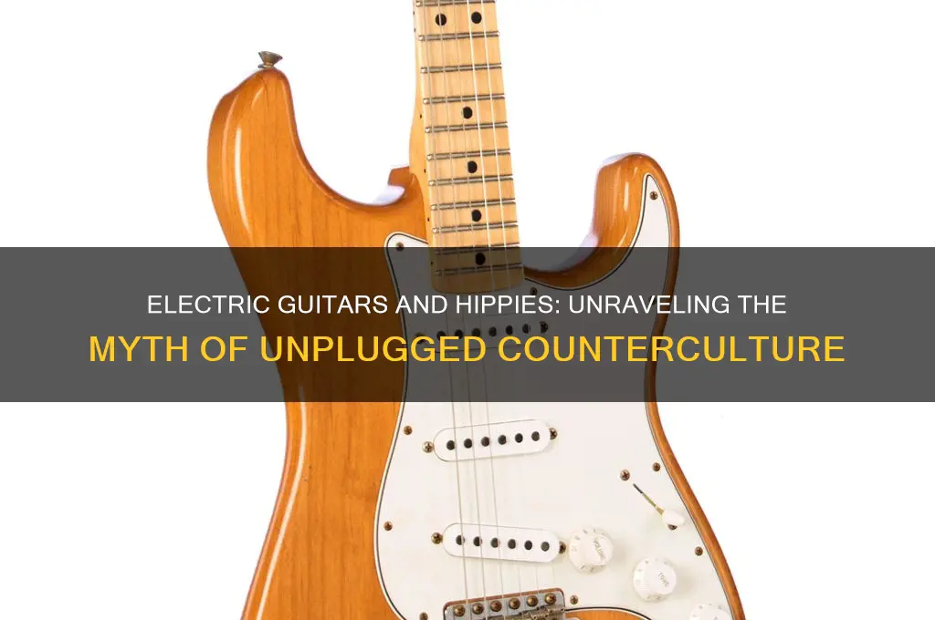 did hippies ever use electric guitars
