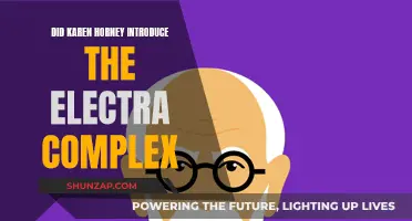 Karen Horney: Did She Introduce the Electra Complex?